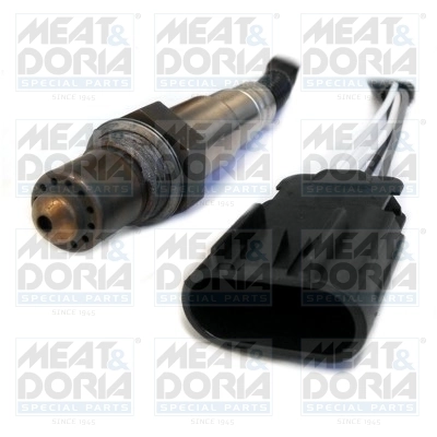 Oxygen Sensor